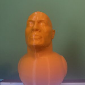 Dwayne the Quack Johnson